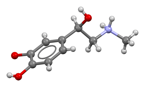 adrenaline molecule https://commons.wikimedia.org/wiki/File:Adrenaline-from-xtal-3D-bs-17.png#mw-jump-to-license