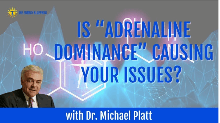 Podcast with Ari Whitten - Is “Adrenaline Dominance” Causing Your Issues? Dr. Michael Platt
