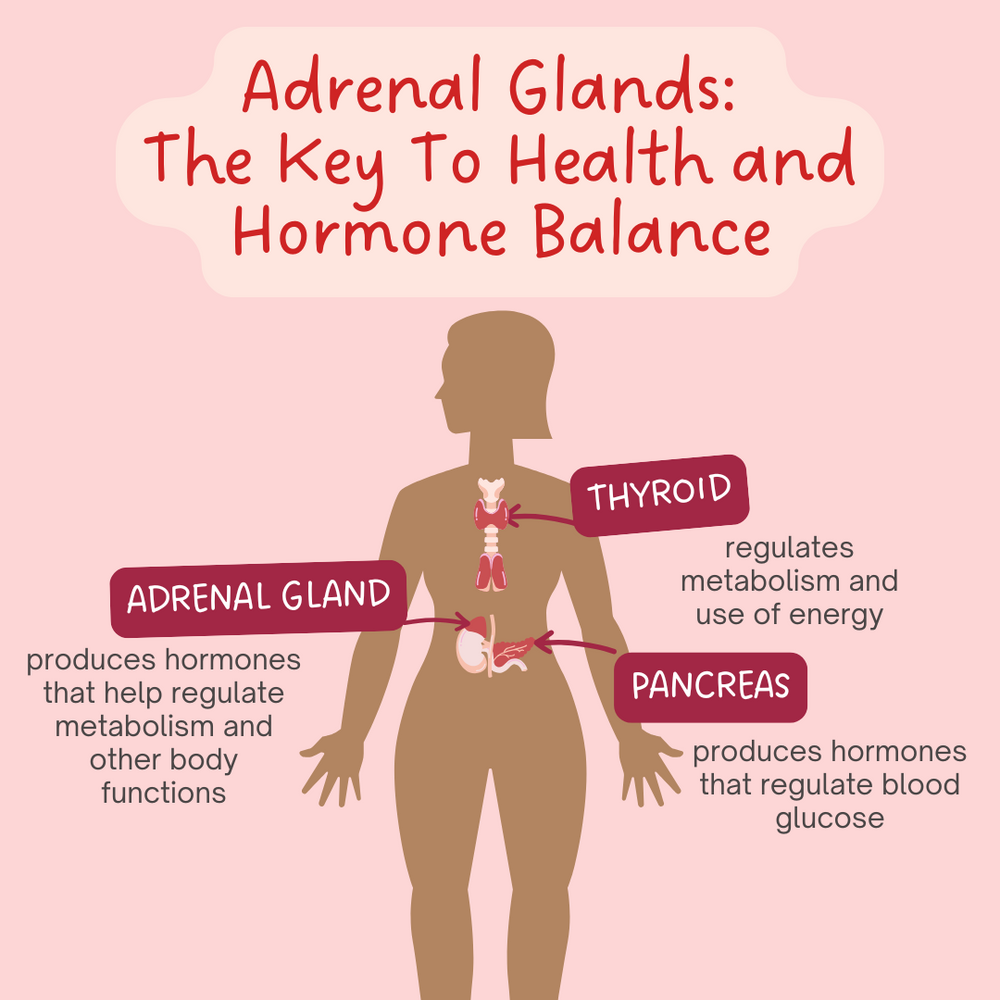 Your Adrenal Glands: Are They Stealing Your Progesterone?